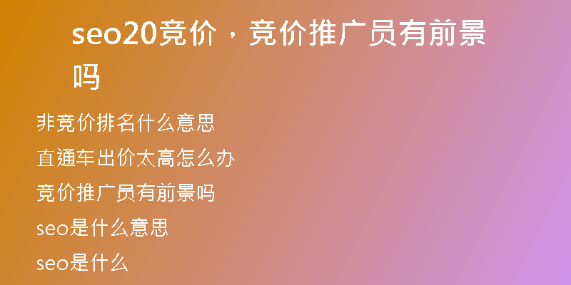 seo20競價(jià)，競價(jià)推廣員有前景嗎