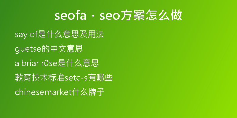 seofa，seo方案怎么做