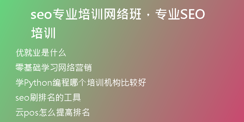 seo專業(yè)培訓網(wǎng)絡班，專業(yè)SEO培訓