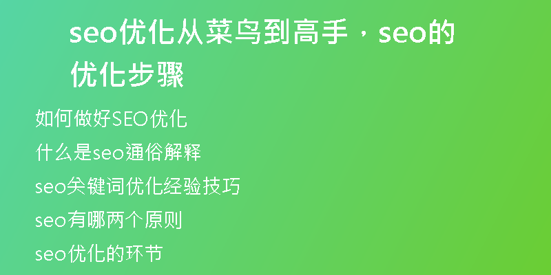 seo優(yōu)化從菜鳥到高手，seo的優(yōu)化步驟