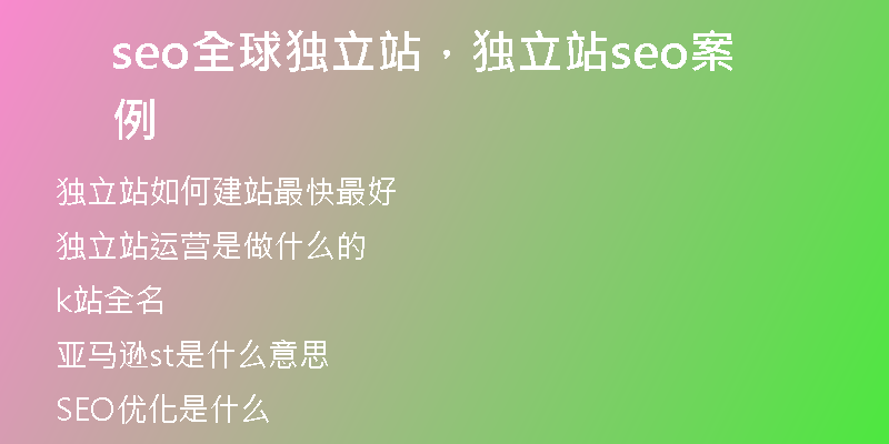 seo全球獨立站，獨立站seo案例