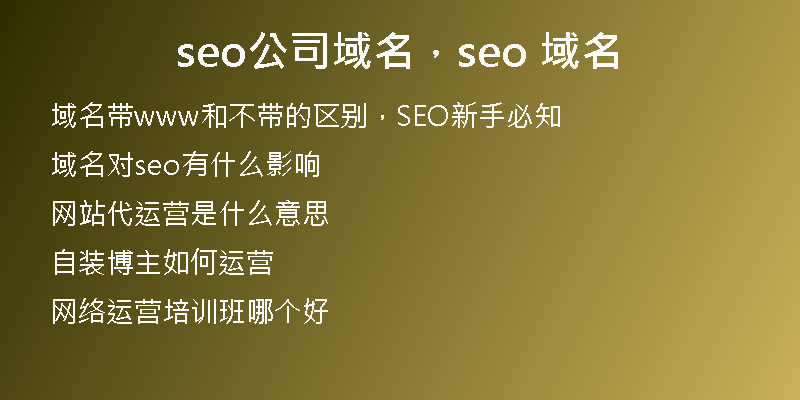seo公司域名，seo 域名