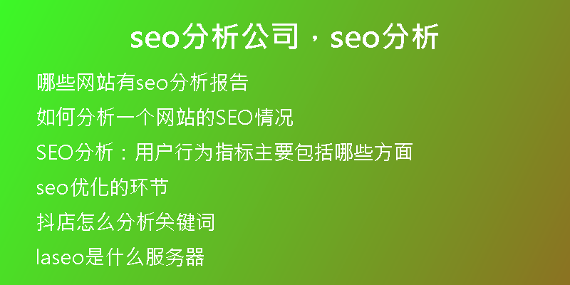 seo分析公司，seo分析