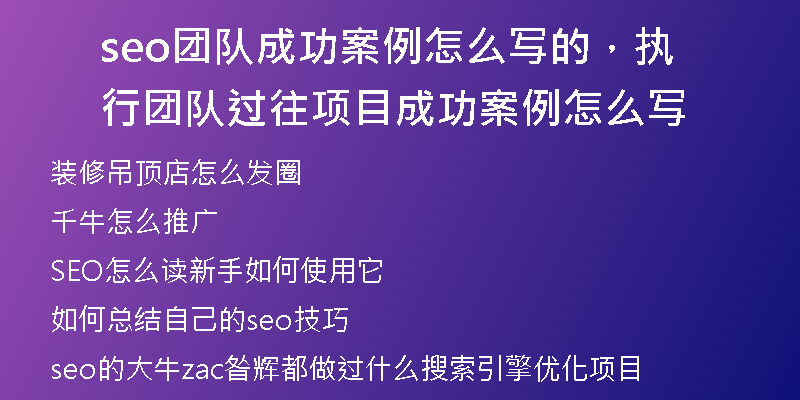 seo團(tuán)隊(duì)成功案例怎么寫的，執(zhí)行團(tuán)隊(duì)過往項(xiàng)目成功案例怎么寫