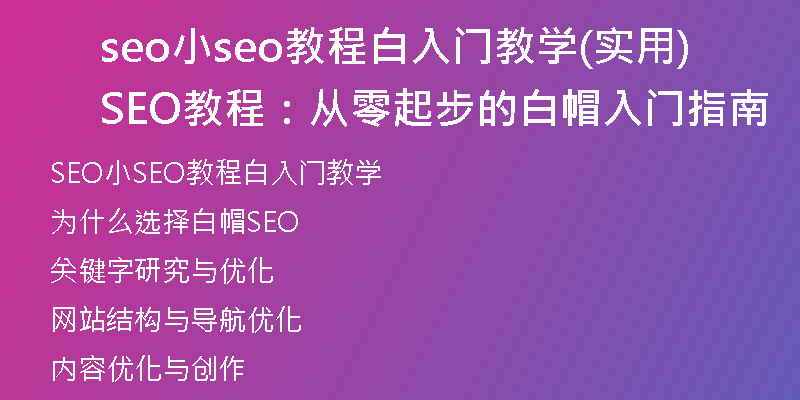 seo小seo教程白入門教學(xué)(實用SEO教程：從零起步的白帽入門指南)