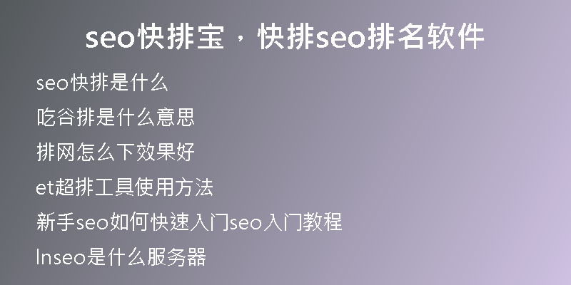 seo快排寶，快排seo排名軟件