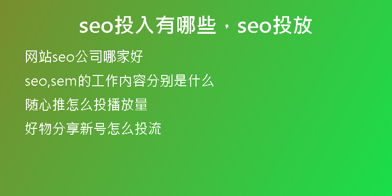 seo投入有哪些，seo投放