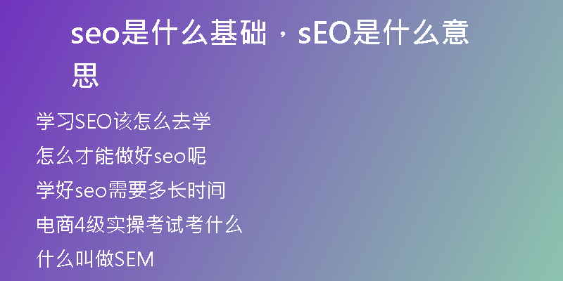 seo是什么基礎(chǔ)，sEO是什么意思