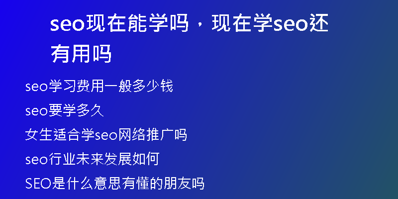 seo現(xiàn)在能學嗎,現(xiàn)在學seo還有用嗎