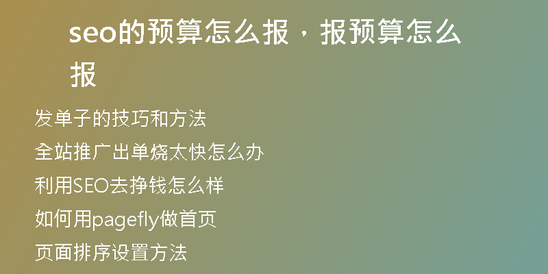 seo的預(yù)算怎么報(bào)，報(bào)預(yù)算怎么報(bào)
