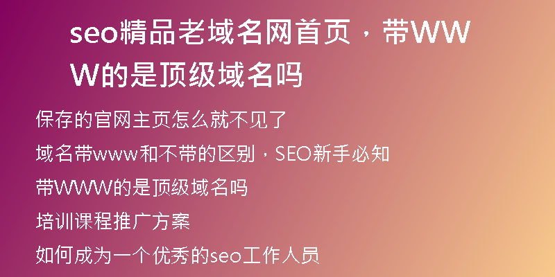 seo精品老域名網(wǎng)首頁，帶WWW的是頂級(jí)域名嗎