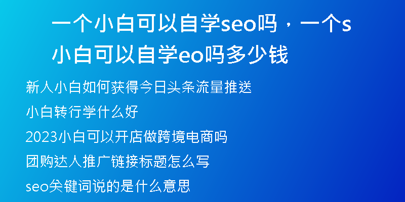 一個小白可以自學(xué)seo嗎，一個小白可以自學(xué)seo嗎多少錢