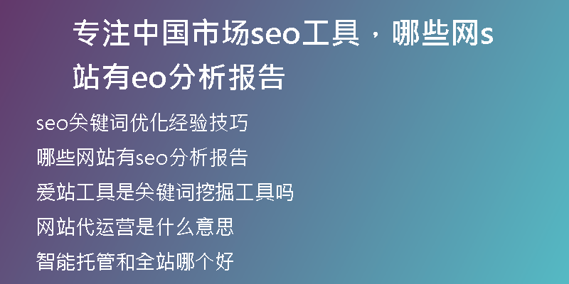 專注中國市場seo工具，哪些網(wǎng)站有seo分析報告